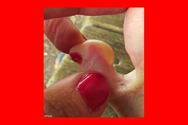 Chrome Bar, nail care in Grimbeek Park
